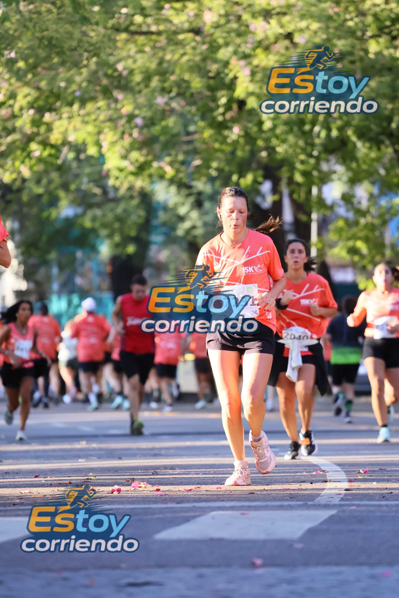 PUERTO NORTE RUN